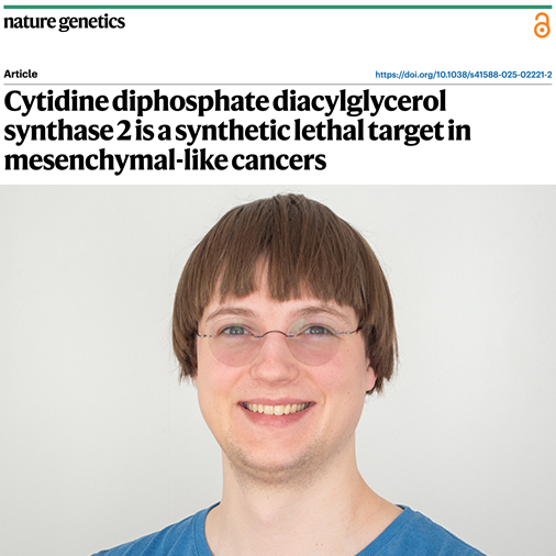 Beelden Samengevoegd