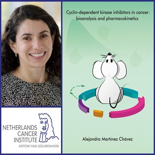 Collage Martinez Chaves Blauw Thesis