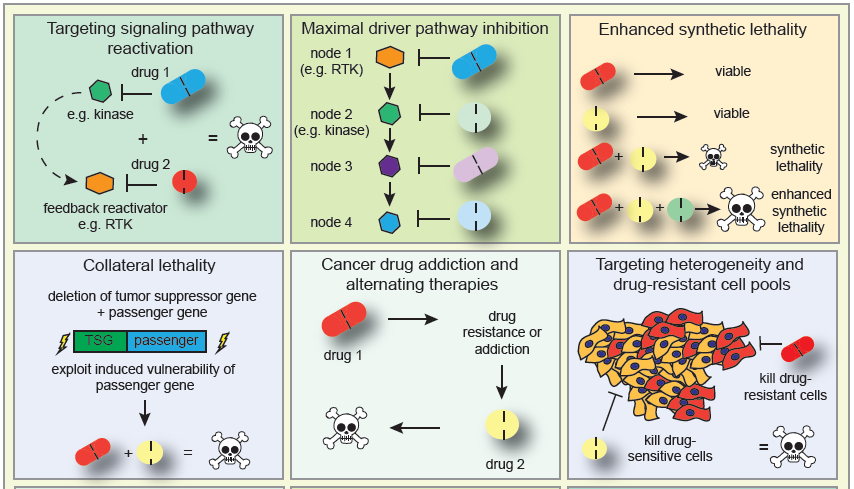 Highlight Image Graphical Overview Rational Concepts