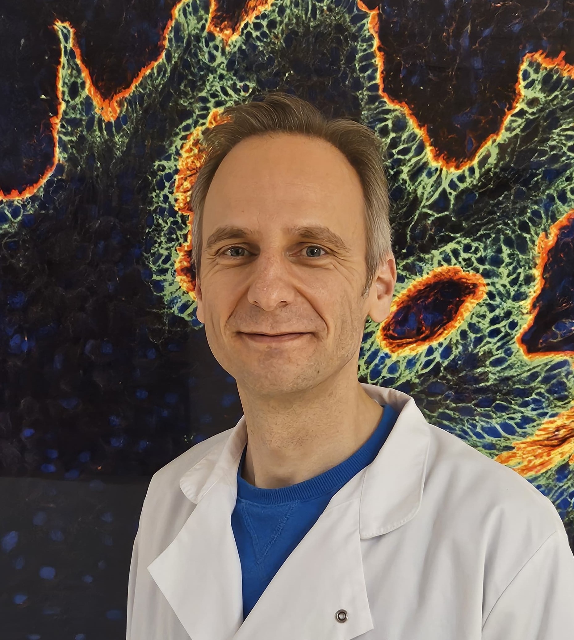 Jacco Van Rheenen EMBO