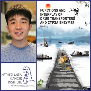 Collage Wenlong Li Blauw